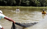 Governo aperta o setor pesqueiro e vai recadastrar pescadores