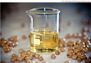 biocombustiveis_