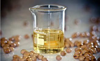 Recomendações sobre a produção de agroenergia em pequenas propriedades