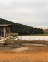 Esterco de animais garante a produção de biogás