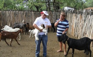 Ceará promove programa de incentivo a criação de ovinos e caprinos