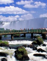 Congresso Brasileiro de Mandioca será este mês