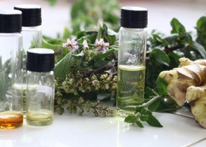 peixe plantas medicinais