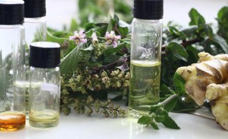 Criação de peixes livre de bactérias com uso de plantas medicinais