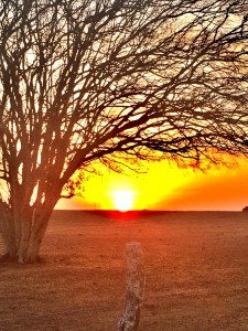 Por do sol em Alagoas 1