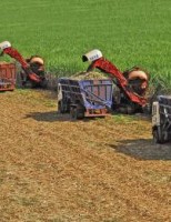 Usina de Minas Gerais se destaca como a mais produtiva do Brasil