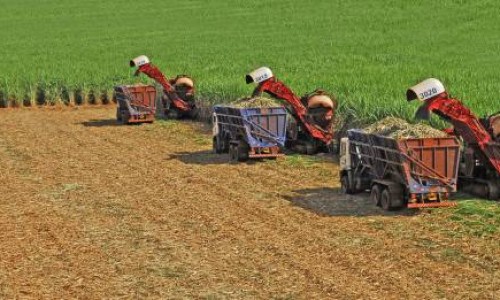 Usina de Minas Gerais se destaca como a mais produtiva do Brasil