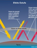 É possível reduzir a emissão de gases do efeito estufa com fixação biológica de nitrogênio