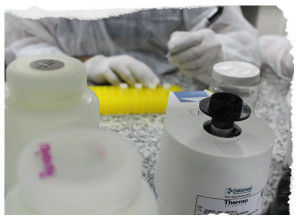 inseminação 1