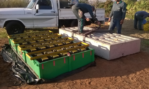 <h2><a href="https://nordesterural.com.br/chega-ao-mercado-novas-tecnologias-para-construcao-de-pontes-mata-burros/">Chega ao mercado novas tecnologias para constru&ccedil;&atilde;o de pontes mata-burros</a></h2>Inicialmente os mata-burros eram constru&iacute;dos com madeira, no entanto a chuva e o sol provocaram o apodrecimento da estrutura. O Transito constante tamb&eacute;m faz com que os tabuleiros se soltem