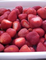 Produtores brasileiros de morango tentam se livrar da importação de sementes