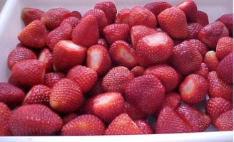 Produtores brasileiros de morango tentam se livrar da importação de sementes