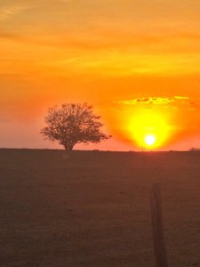 por do sol em alagoas 3