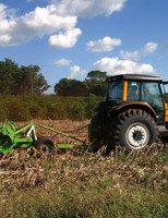Agricultores do semiárido pernambucano recebem orientação tecnológica
