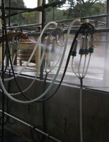 Em tempo de pouca água aprenda a economizar água em sala de ordenha