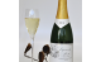 O vinho para tomar no carnaval <br><br> Por  Fernando Tony