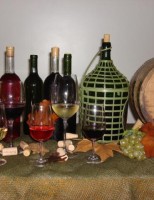 Um curso especial para quem quer aprender a fazer vinhos