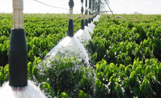 Cafeicultura irrigada terá momento importante no próximo mês