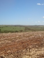 Um novo sistema de sustentabilidade para a produção da cana no Brasil