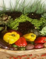 Carnaval com alimentação saudável é com hortaliças e frutas