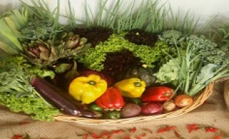 Carnaval com alimentação saudável é com hortaliças e frutas