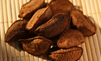 Valor nutricional da castanha do Brasil é maior em algumas regiões