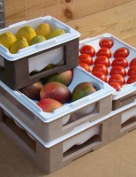 Cada fruta terá embalagem específica para evitar machucados
