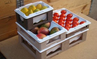 Cada fruta terá embalagem específica para evitar machucados