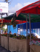 Consumidores de Maceió serão orientados por nutricionistas em feiras orgânicas