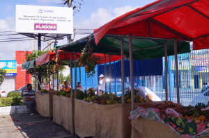 feira livre maceió 1