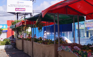 Consumidores de Maceió serão orientados por nutricionistas em feiras orgânicas
