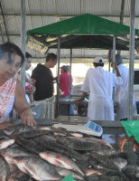 A Feira do Peixe Vivo em Alagoas vai comercializar 10 toneladas de pescado