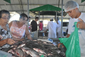 peixe para alagoas 1