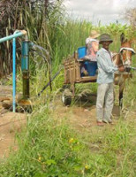 Novo sistema tecnológico pode transformar água salobra em potável para uso no campo
