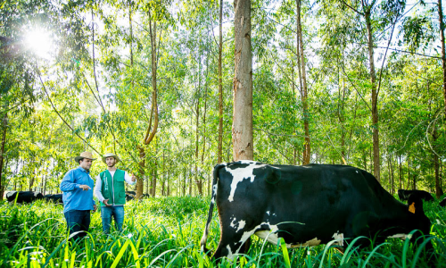 <h2><a href="https://nordesterural.com.br/capacitacao-tecnologica-para-agricultores-tem-30-cursos-gratuitos/">Capacita&ccedil;&atilde;o tecnol&oacute;gica para agricultores tem 30 cursos gratuitos</a></h2>S&atilde;o cursos voltados para as cadeias produtivas atualmente em expans&atilde;o na agropecu&aacute;ria, ideais para quem tem forma&ccedil;&atilde;o t&eacute;cnica ou superior nas &aacute;reas das Ci&ecirc;ncias Agr&aacute;rias e quer estar em dia