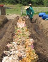 Como se faz um composto orgânico para ser usado na adubação
