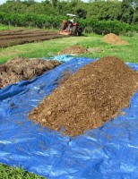 A importância da matéria orgânica para adubação na agricultura