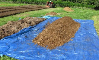 A importância da matéria orgânica para adubação na agricultura