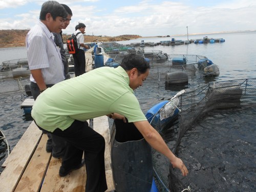 Americanos visitam área de produção de pescado no nordeste