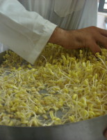 Pequenos produtores podem ganhar mais dinheiro produzindo brotos de soja