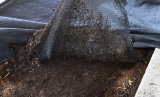 Vermicompostagem, o uso de minhocas na agricultura