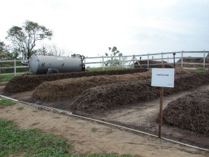 adubação orgânica