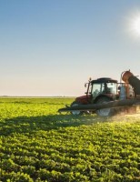 Estrangeiros vão poder investir no agronegócio brasileiro