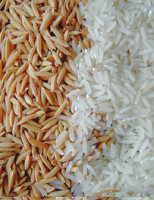 Um balanço das exportações do arroz brasileiro este ano