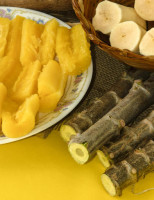 Novas variedades de mandioca já estão no mercado para uso do agricultor