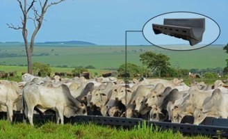 Novos cochos facilitam a criação do gado