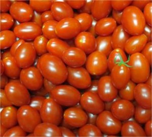 tomates