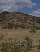 Um dia para combater a desertificação no mundo