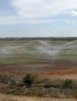 A importância da irrigação para a agricultura brasileira