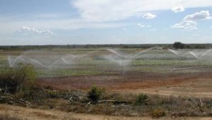 irrigação embrapa